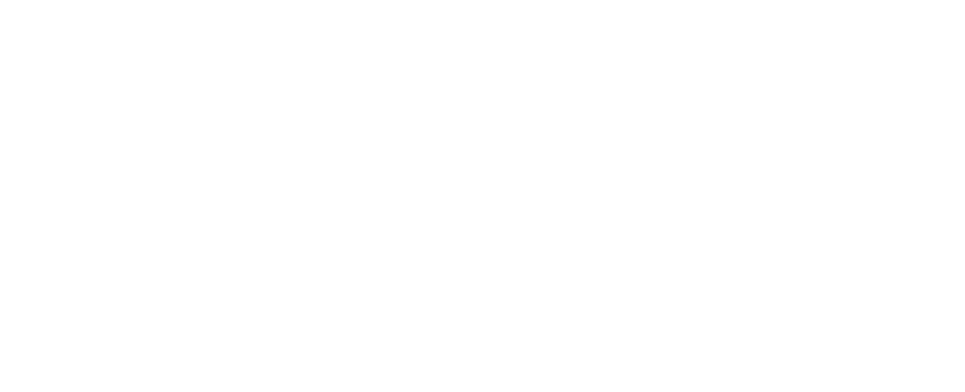 aa-logo-white_landscape.png